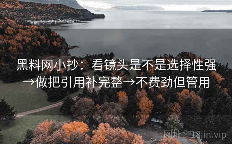 黑料网小抄：看镜头是不是选择性强→做把引用补完整→不费劲但管用